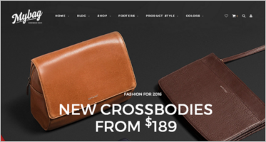 16+ Best Accessories WooCommerce Themes