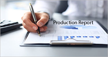Production Report Templates
